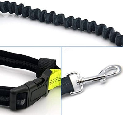 Hands Free Dog Leash - PawsMartOnline