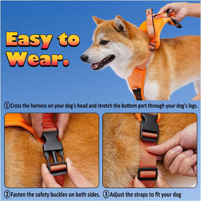 Dog Harness and Leash - Comfortable and Secure Walking details