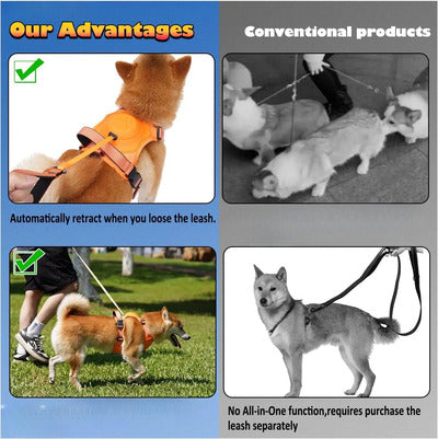 Dog Harness and Leash - Comfortable and Secure Walking