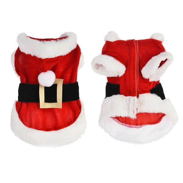 Dog Christmas Costume with Santa Design