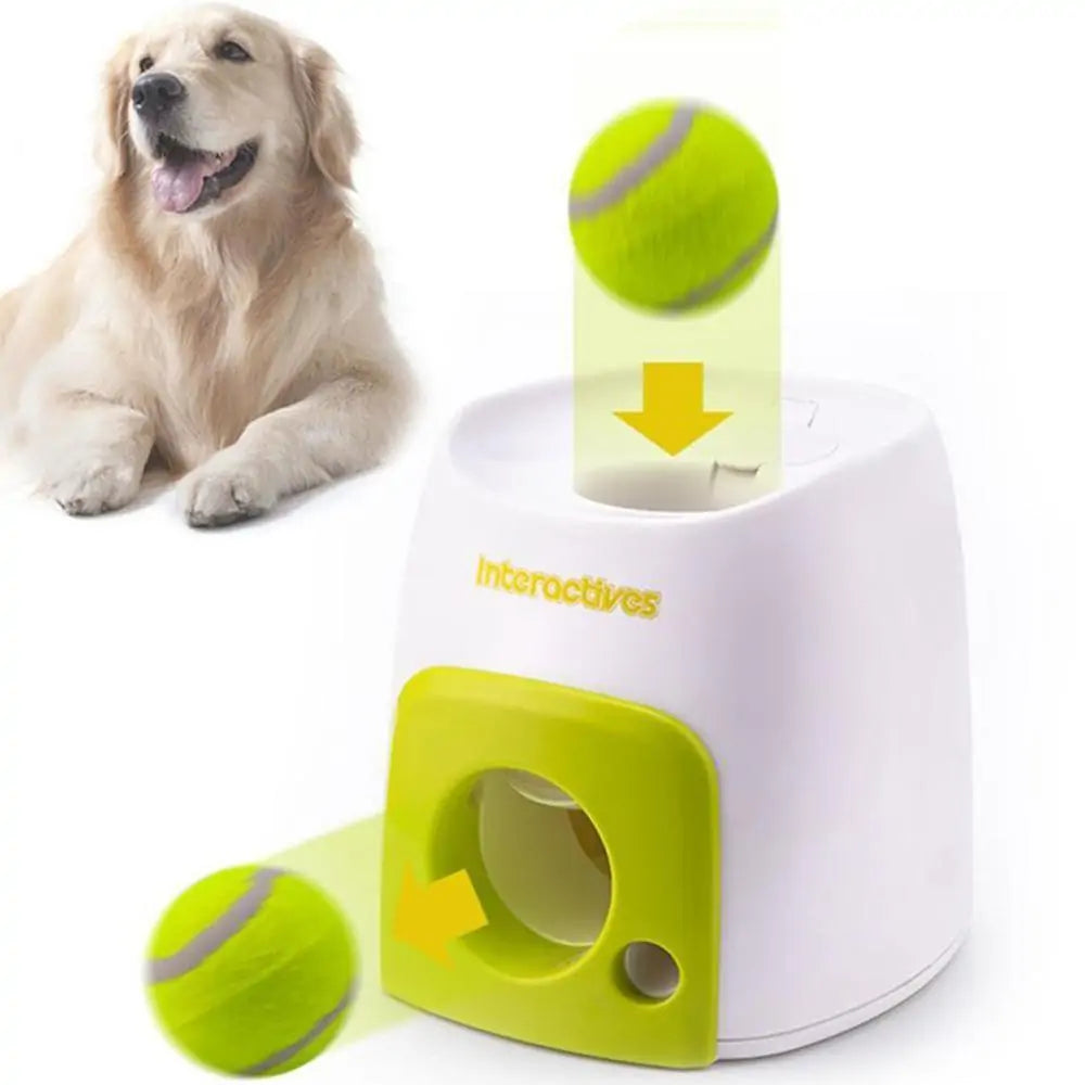 PawsPlay Automatic Pet Toy