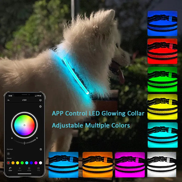 TechPaws LED Collar - PawsMartOnline