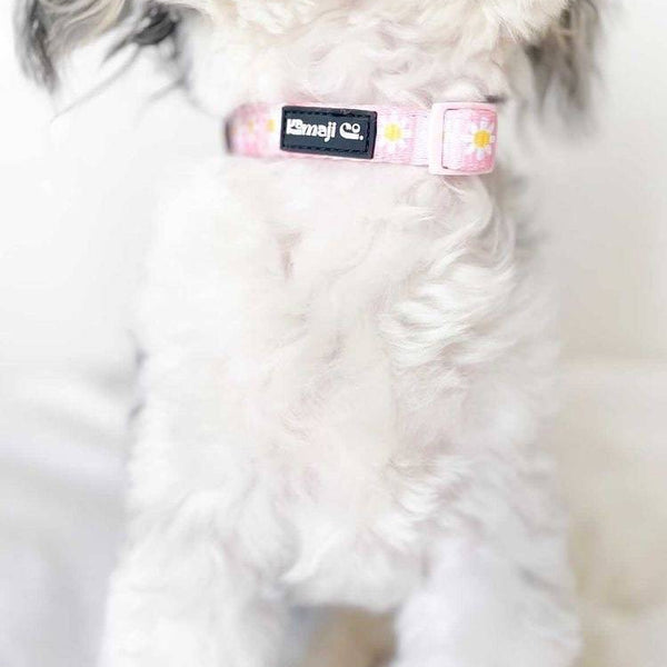 Precious Peach Adjustable Nylon Dog Collar - PawsMartOnline Pets