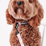 Precious Peach Adjustable Nylon Dog Collar - PawsMartOnline Pets