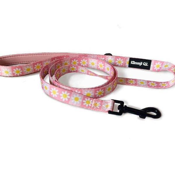 Precious Peach Nylon Leash: Comfortable and Durable - PawsMartOnline Pets