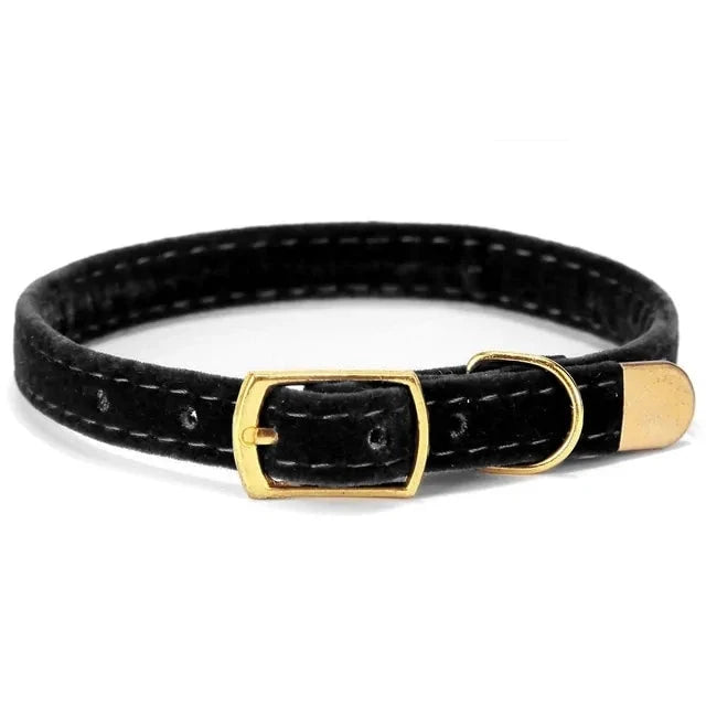 Cat Collar and Kitten Collar - PawsMartOnline Black / 8.5-10.5"