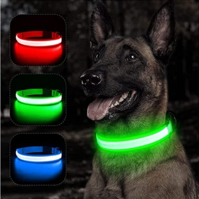 https://www.pawsmartonline.com/cdn/shop/files/led3_600x.jpg?v=1697577128