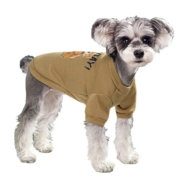 Cozy Bear Pattern Pullover Sweatshirt for Pets