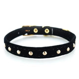 Cat Collar and Kitten Collar - PawsMartOnline Black with Rivets / 8.5-10.5