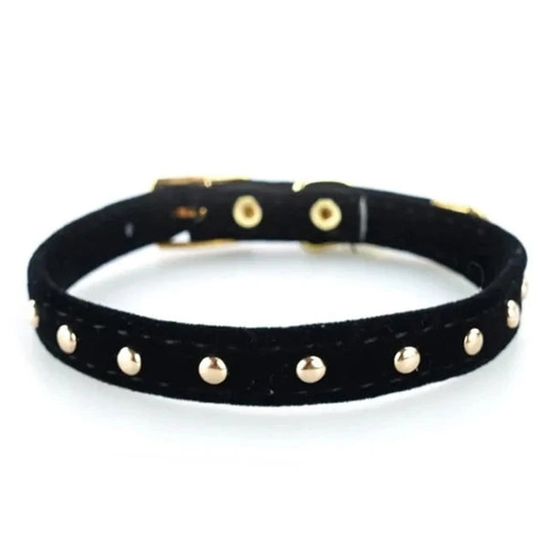 Cat Collar and Kitten Collar - PawsMartOnline Black with Rivets / 8.5-10.5"