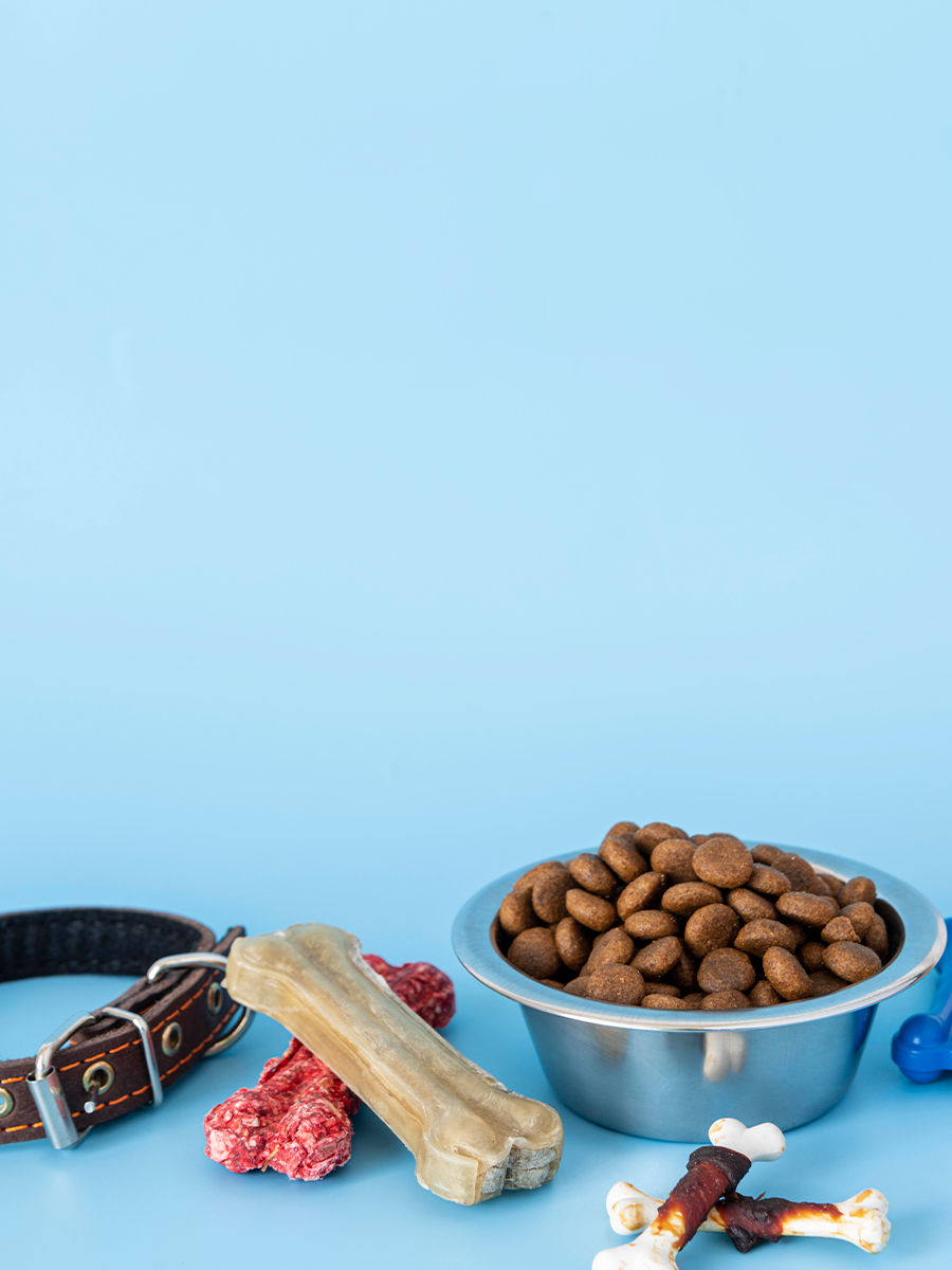  Dog collar, treats and food with a blue background