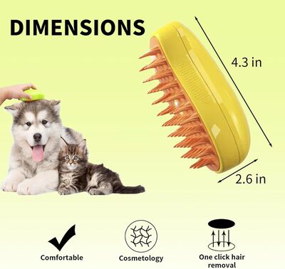 dimensions for brush