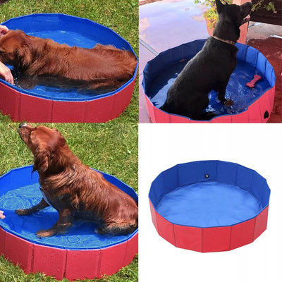 Pawfect Plunge Pool - PawsMartOnline