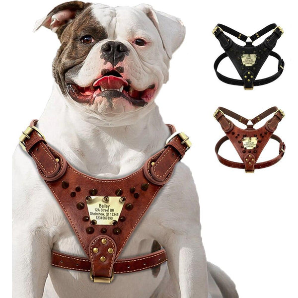 Custom Leather Dog Harness- Personalized Stylish - PawsMartOnline