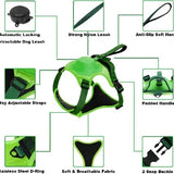 Dog Harness and Leash - Comfortable and Secure Walking details