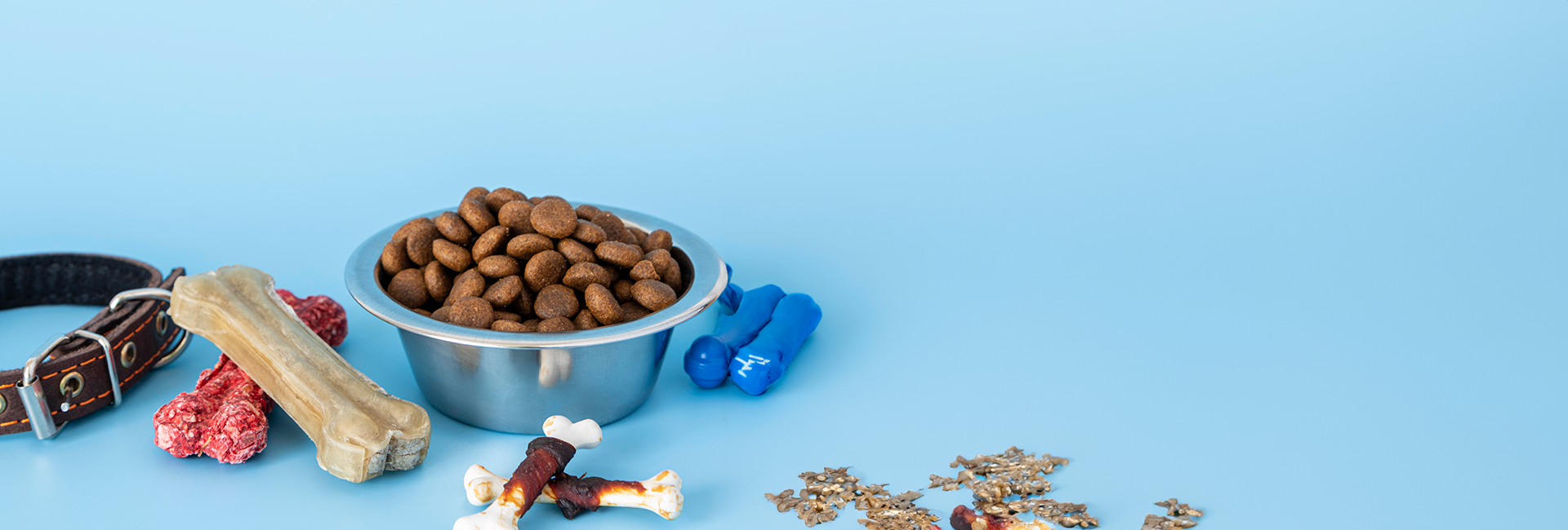  Dog collar, treats and food with a blue background