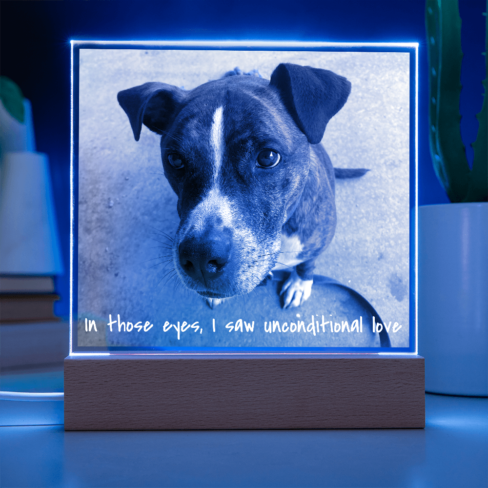 Personalized Square Acrylic Photo Plaque - PawsMartOnline Jewelry Battery Powered LED Base