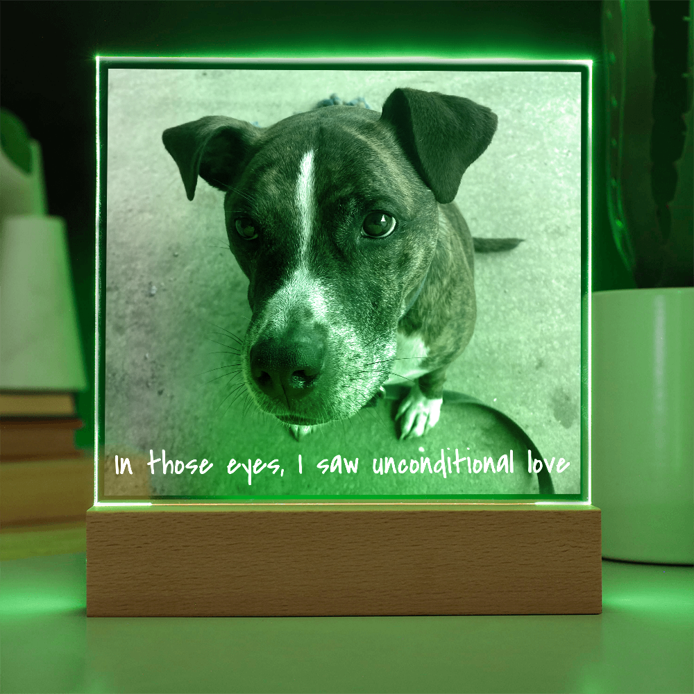 Personalized Square Acrylic Photo Plaque - PawsMartOnline Jewelry Battery Powered LED Base