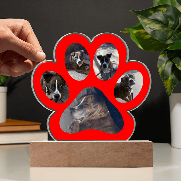 Paw Print Plaque- Custom Photo Print