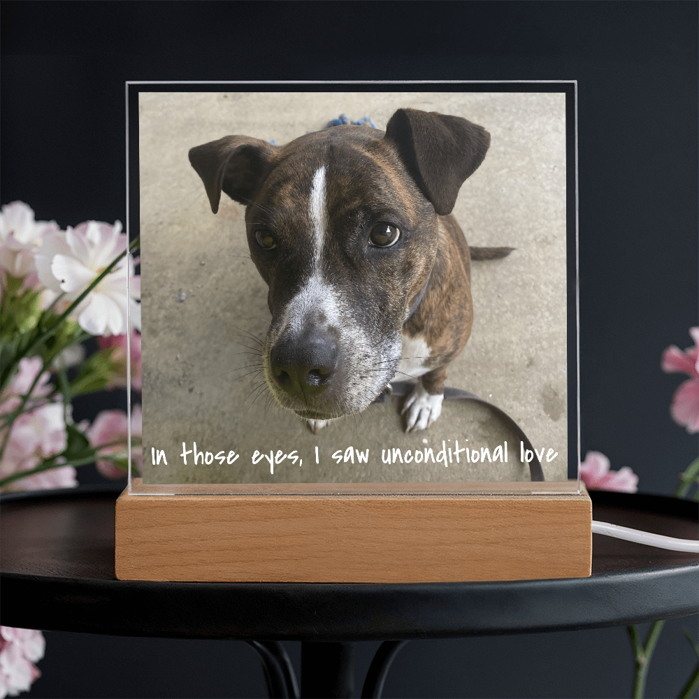 Personalized Square Acrylic Photo Plaque - PawsMartOnline Jewelry Battery Powered LED Base