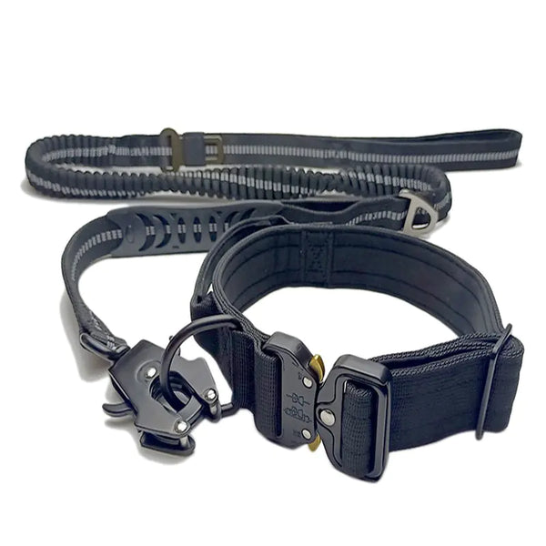 Adjustable Nylon Collar and Leash Set – Durable and Versatile - PawsMartOnline