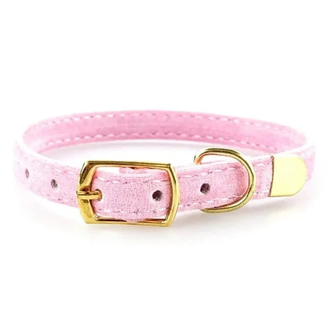 Cat Collar and Kitten Collar - PawsMartOnline Pink / 8.5-10.5"