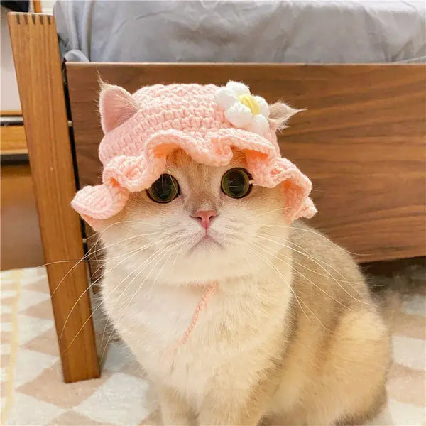 Adorable Crochet Cat & Dog Hat