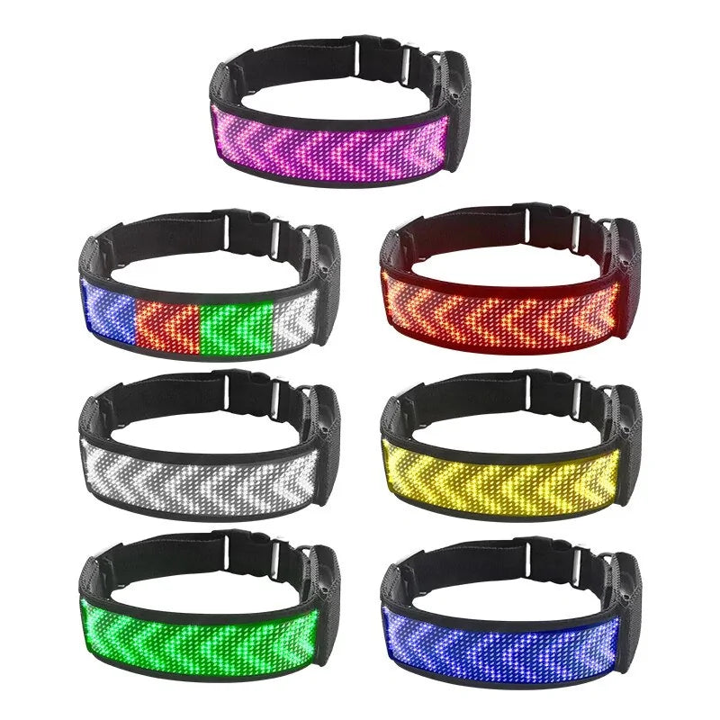 Bluetooth LED Light-Up Dog Collar with GPS & Customizable Display - PawsMartOnline