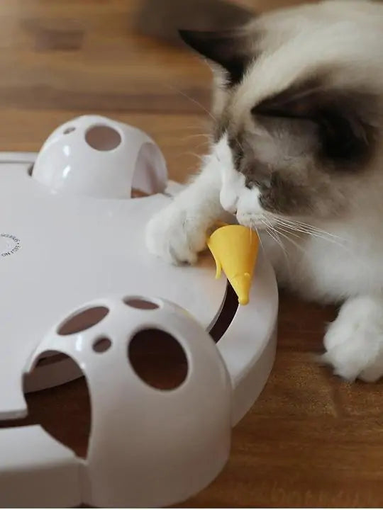 Automatic Interactive Cat Toy - USB Rechargeable Kitty Fun