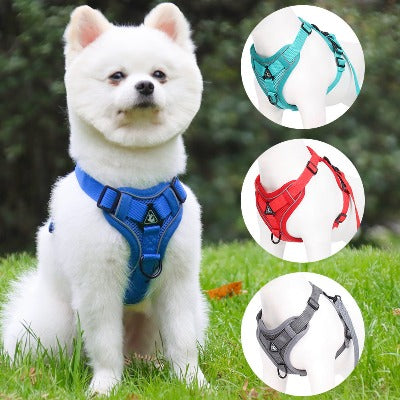 White dog wearing affordable pet harness