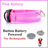 PINK BATTER POWER-LED Dog Collar - Rechargeable, Waterproof, Night Safety