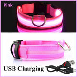 PINK RECHARGEABLE-LED Dog Collar - Rechargeable, Waterproof, Night Safety