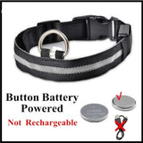 WHITE BATTERY POWER-LED Dog Collar - Rechargeable, Waterproof, Night Safety