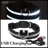 WHITE RECHARGEABLE-LED Dog Collar - Rechargeable, Waterproof, Night Safety