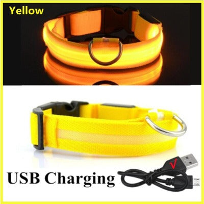 YELLOW RECHARGEABLE-LED Dog Collar - Rechargeable, Waterproof, Night Safety