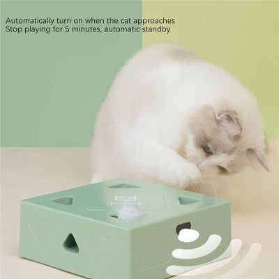 Rechargeable Cat Smart Toy
