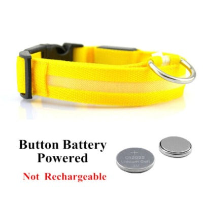 yellow LED Dog Collar - Rechargeable, Waterproof, Night Safety