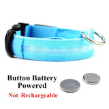 LED Dog Collar - Rechargeable, Waterproof, Night Safety-blue -battery power