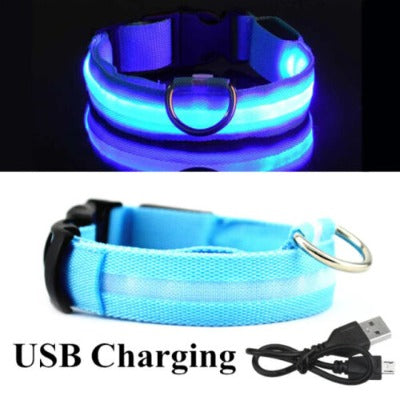 BLUE RECHARGEABLE-LED Dog Collar - Rechargeable, Waterproof, Night Safety