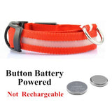 RED BATTERY-LED Dog Collar - Rechargeable, Waterproof, Night Safety