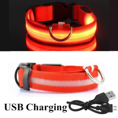 RED RECHARGEABLE-LED Dog Collar - Rechargeable, Waterproof, Night Safety